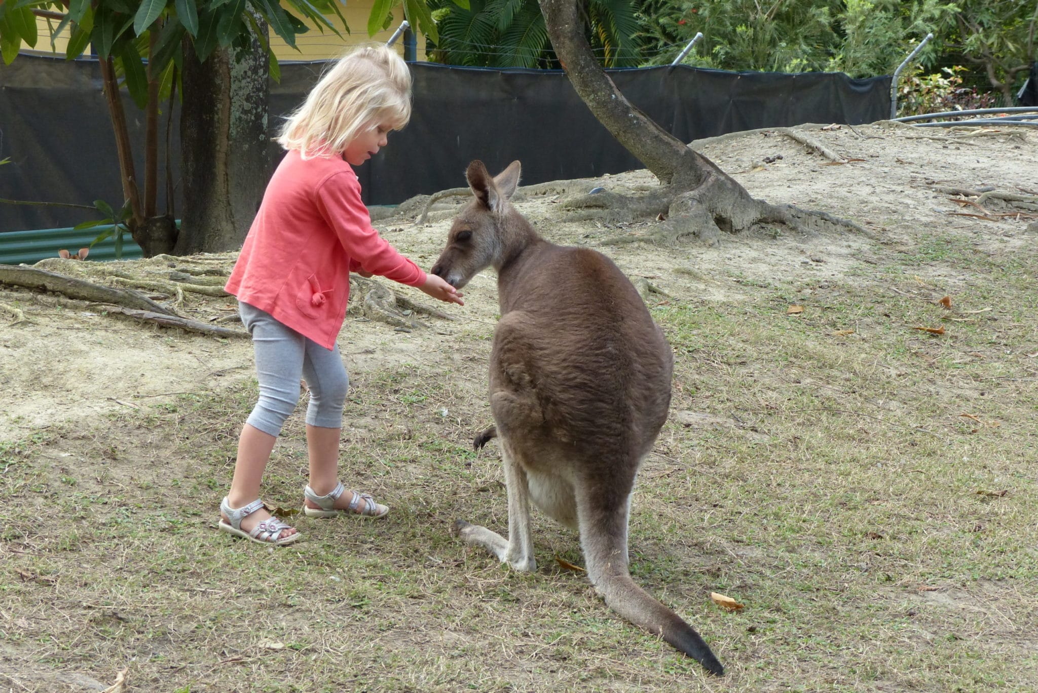 Récit de voyage 5 semaines en Australie en famille ...